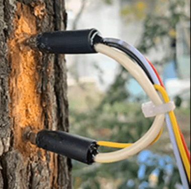 樹干液流監(jiān)測系統(tǒng)